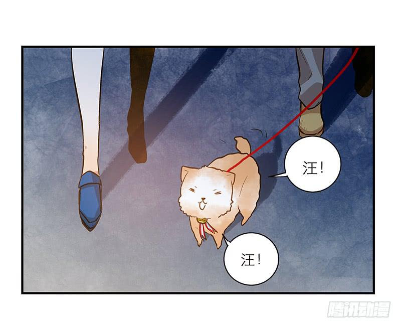 《宠爱我吧！兽医先生》第二十话 该撒狗粮了 第19页