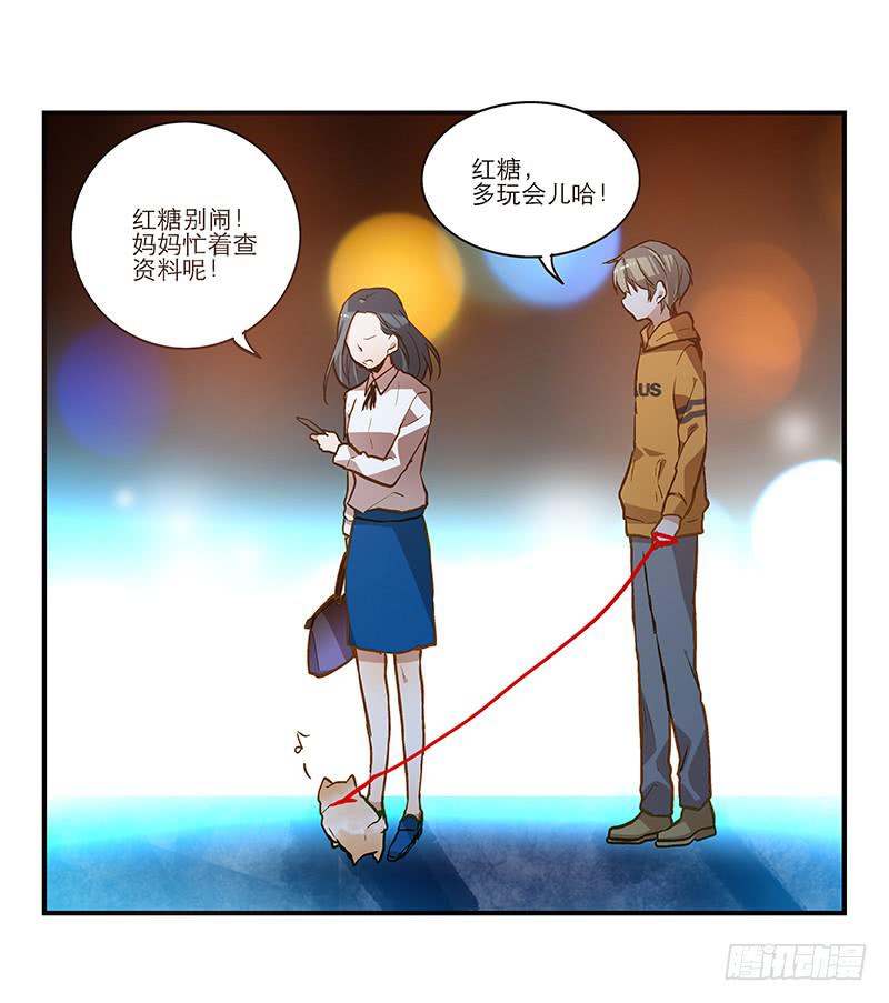 《宠爱我吧！兽医先生》第二十话 该撒狗粮了 第20页