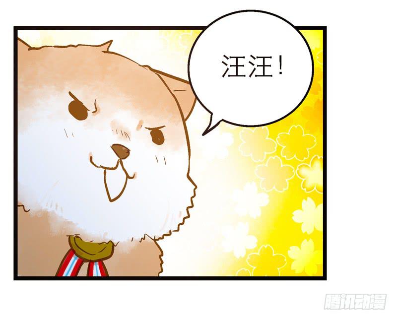 《宠爱我吧！兽医先生》第二十话 该撒狗粮了 第21页
