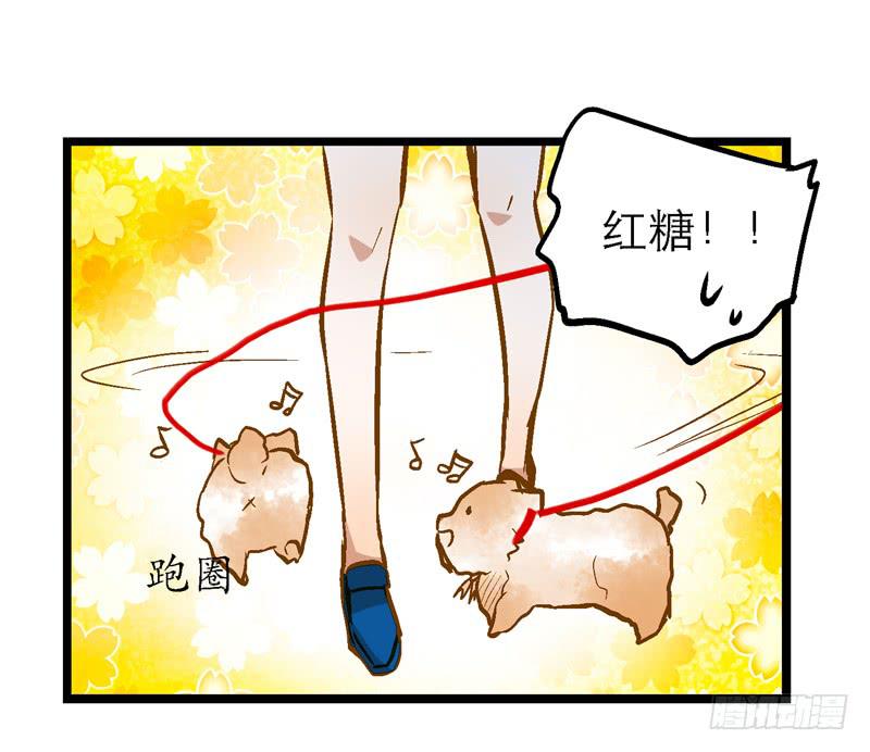 《宠爱我吧！兽医先生》第二十话 该撒狗粮了 第22页