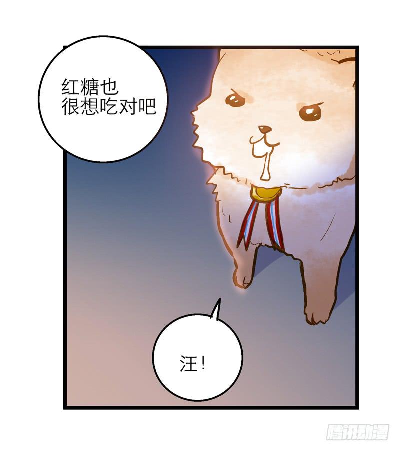 《宠爱我吧！兽医先生》第二十四话 爱吃烧烤的假兽医 第16页