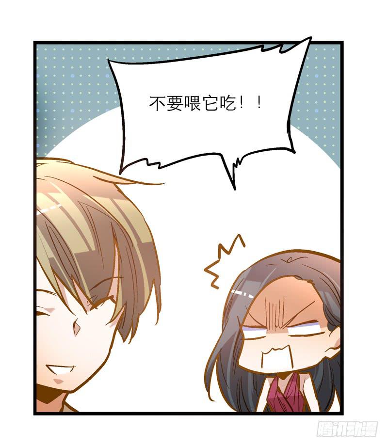 《宠爱我吧！兽医先生》第二十四话 爱吃烧烤的假兽医 第20页