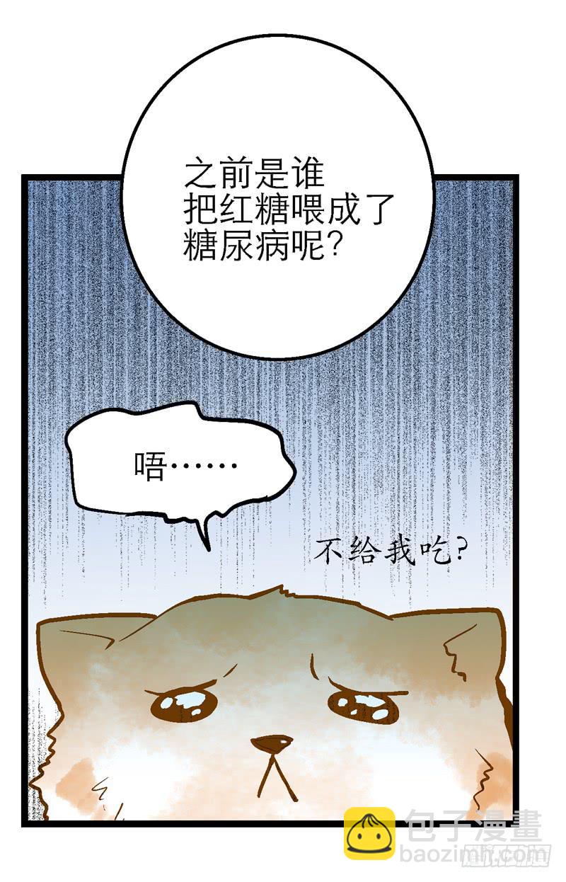 《宠爱我吧！兽医先生》第二十四话 爱吃烧烤的假兽医 第22页