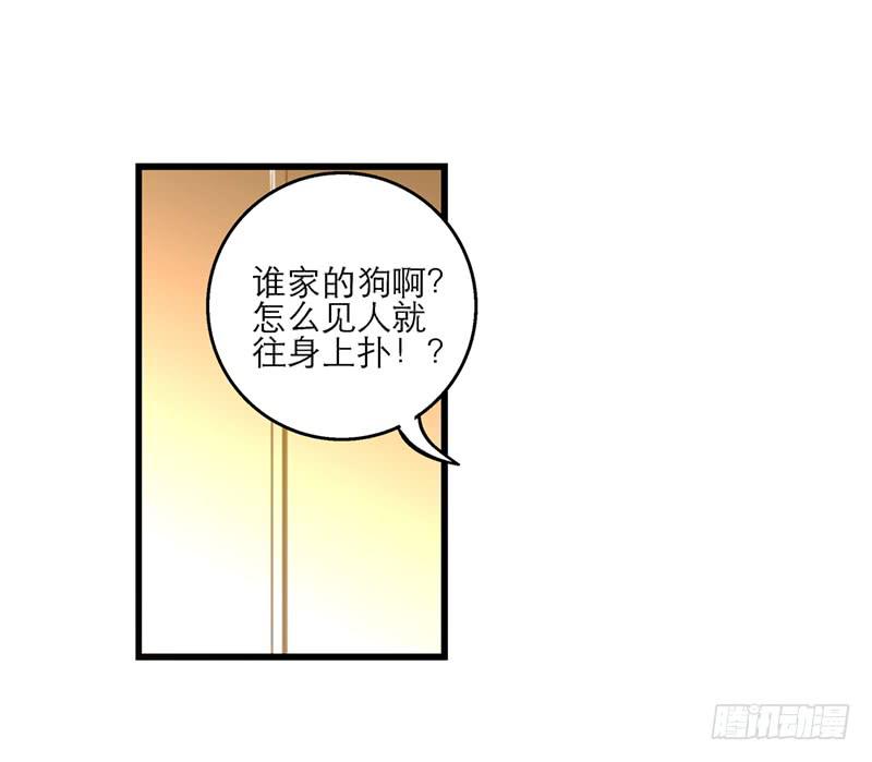《宠爱我吧！兽医先生》第二十五话 我为你晕倒 第7页