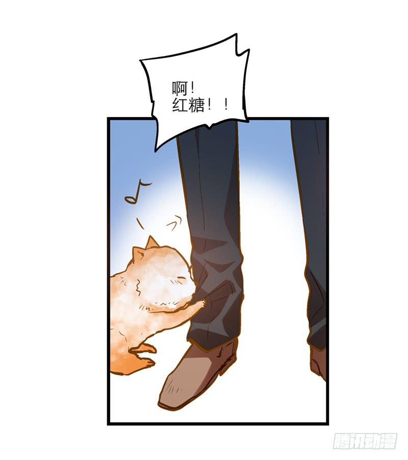 《宠爱我吧！兽医先生》第二十五话 我为你晕倒 第9页