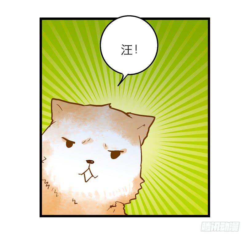 《宠爱我吧！兽医先生》第二十七回 在一起 第35页