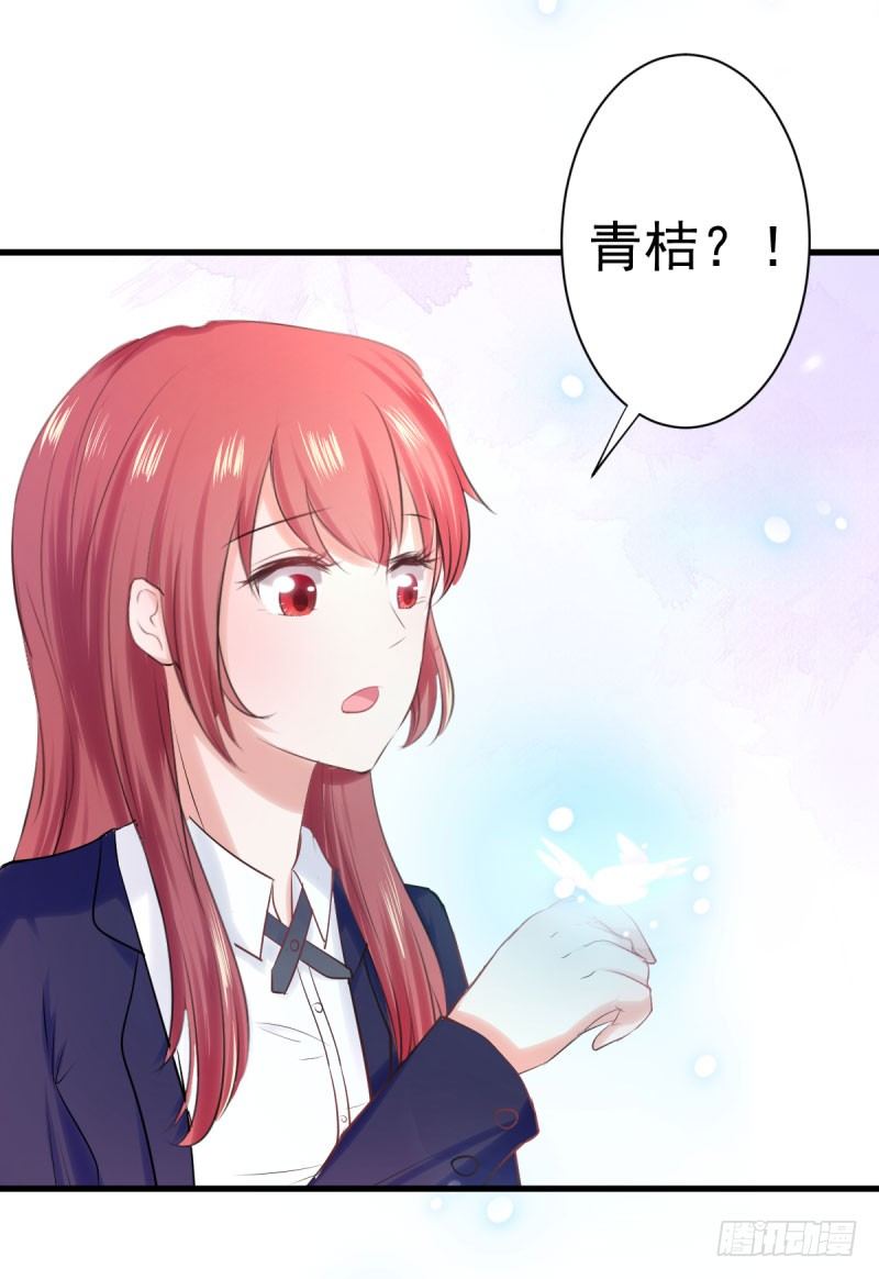 《每天亲吻你一次》这个女人真是不让人省心 第40页