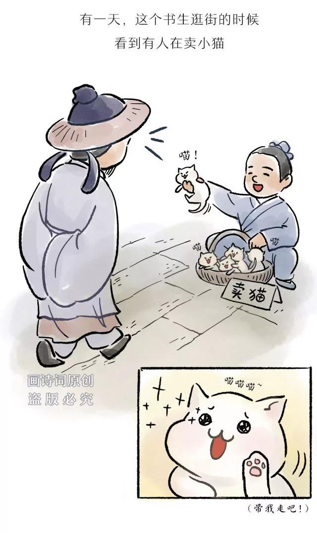 《画诗词》超会写诗的他居然是个猫奴？！ 第16页