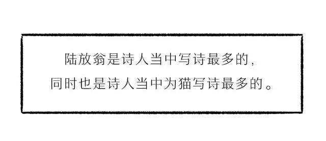 《画诗词》超会写诗的他居然是个猫奴？！ 第40页