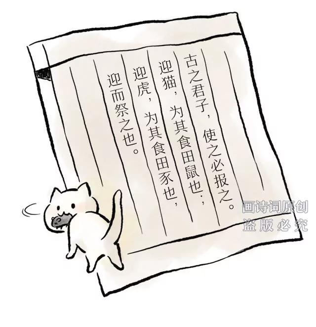 《画诗词》超会写诗的他居然是个猫奴？！ 第5页