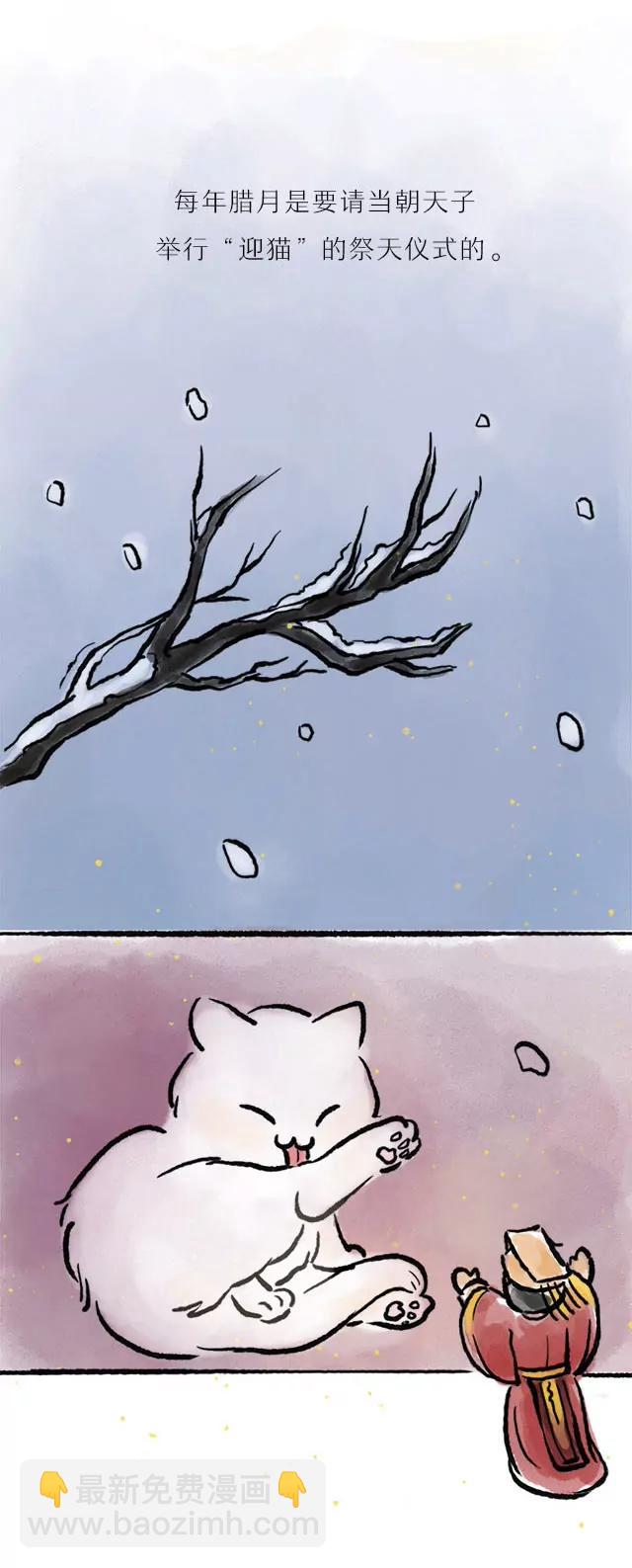 《画诗词》超会写诗的他居然是个猫奴？！ 第7页