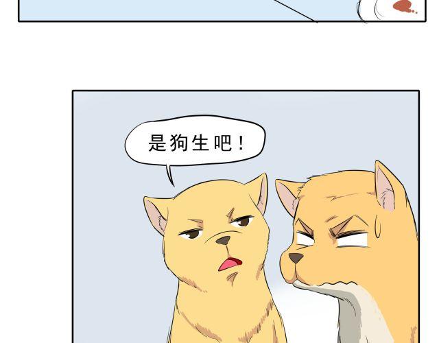 《王材传奇》第10话 女主人竟然要把我送走！ 第17页