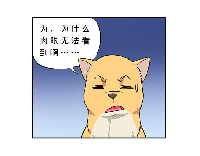 《王材传奇》第9话 变成狗或许也不错！ 第9页