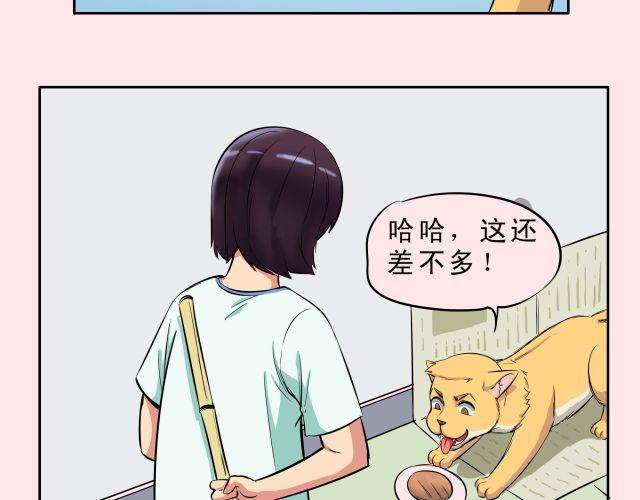 《王材传奇》第12话 心情不好就可以虐狗吗 第31页