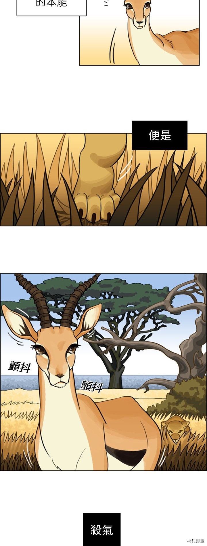 《美丽无罪》第3话 第2页