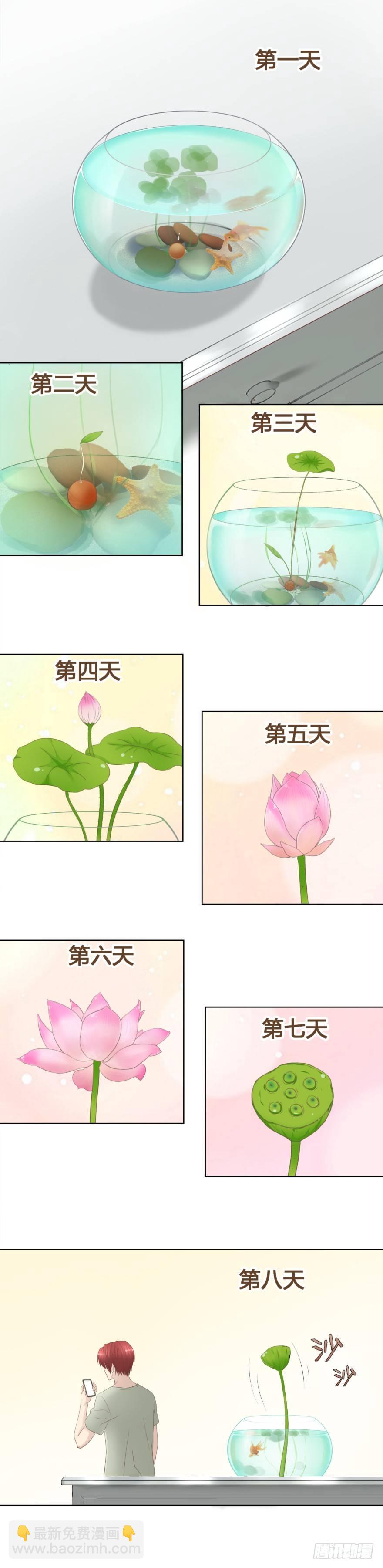 《爸气归来》2 天上掉下七个娃 第5页