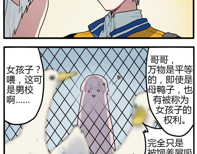 《天才男高的蠢货们！》第7话 为什么蛋不见了！ 第19页
