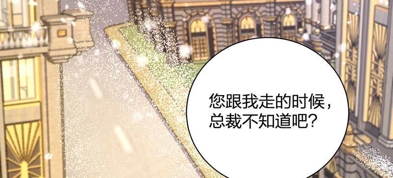 《总裁追妻夫人休想逃》第28话 陷害 第42页