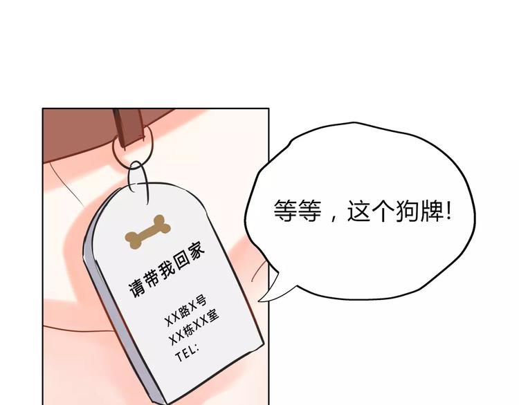 《拜托了 家伙们！》第2话 用动物本能穿衣服！ 第20页