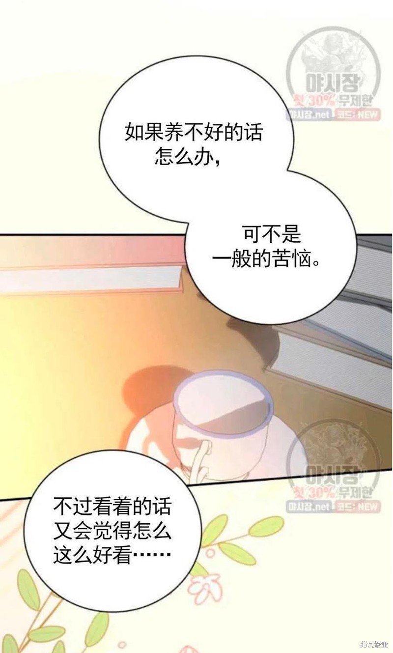 《琉璃温室的公爵夫人》第22话 第39页