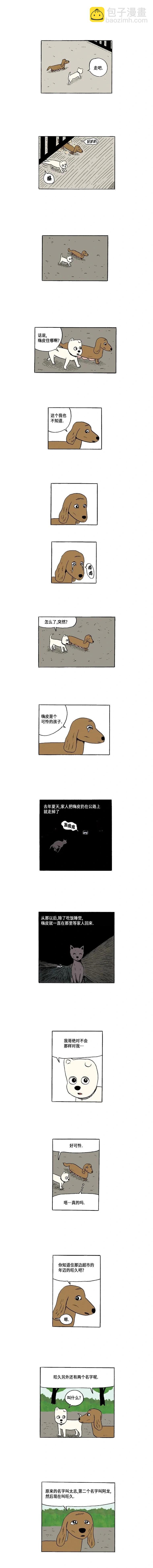 《19年波比》5话. 各自的苦衷-1 第4页
