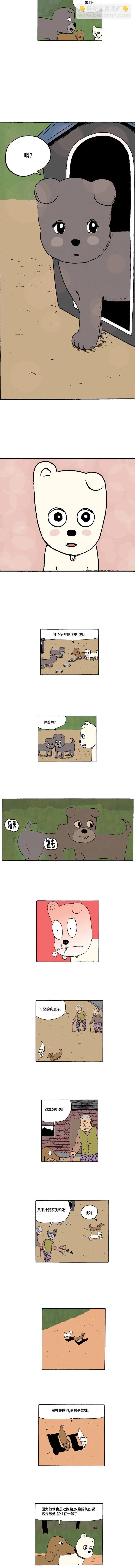 《19年波比》7话.幸福的预感 第5页