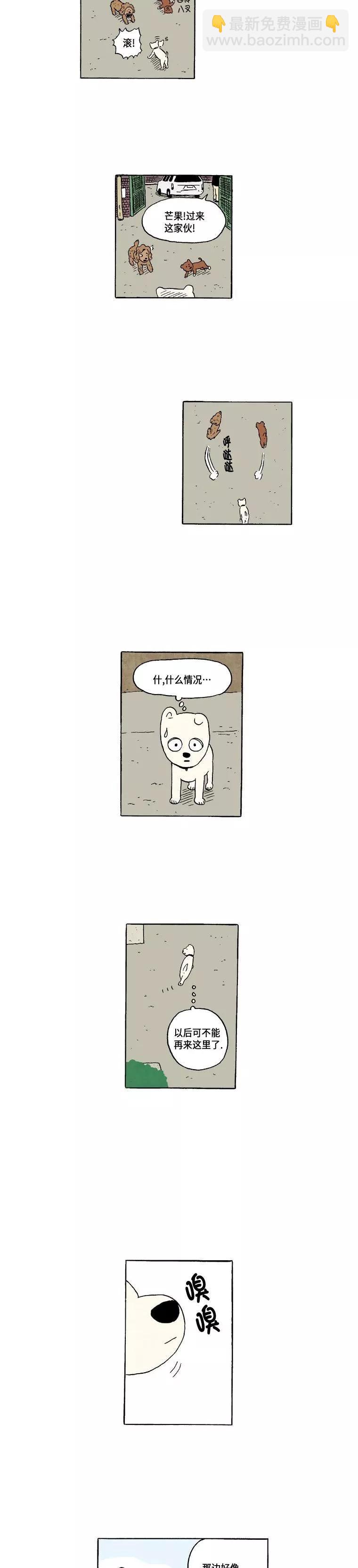 《19年波比》4话. 新朋友 第5页
