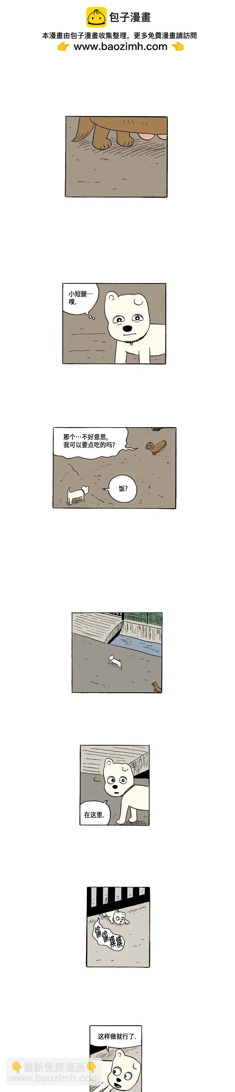 《19年波比》4话. 新朋友 第8页