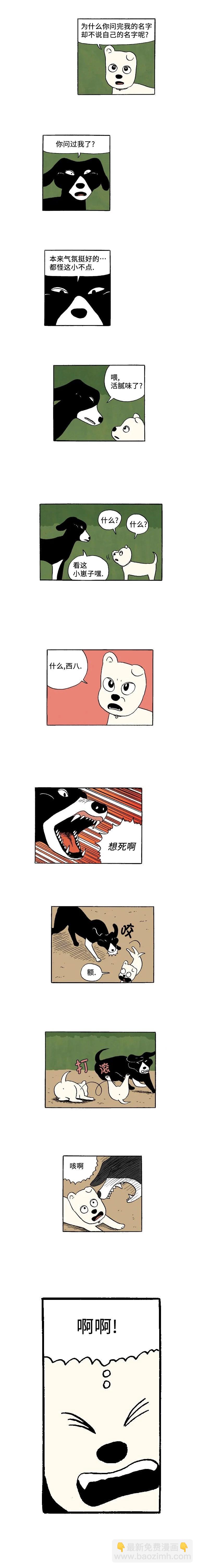 《19年波比》11话. 波比的伙伴们 第3页