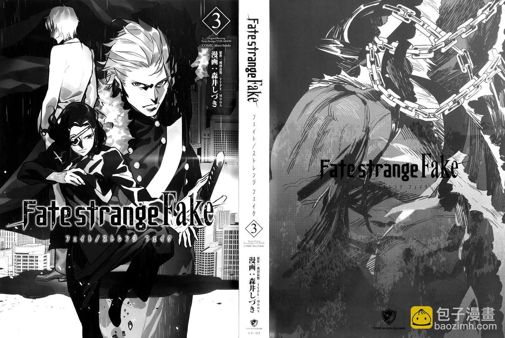 《Fate/strange fake》第03卷 第4页