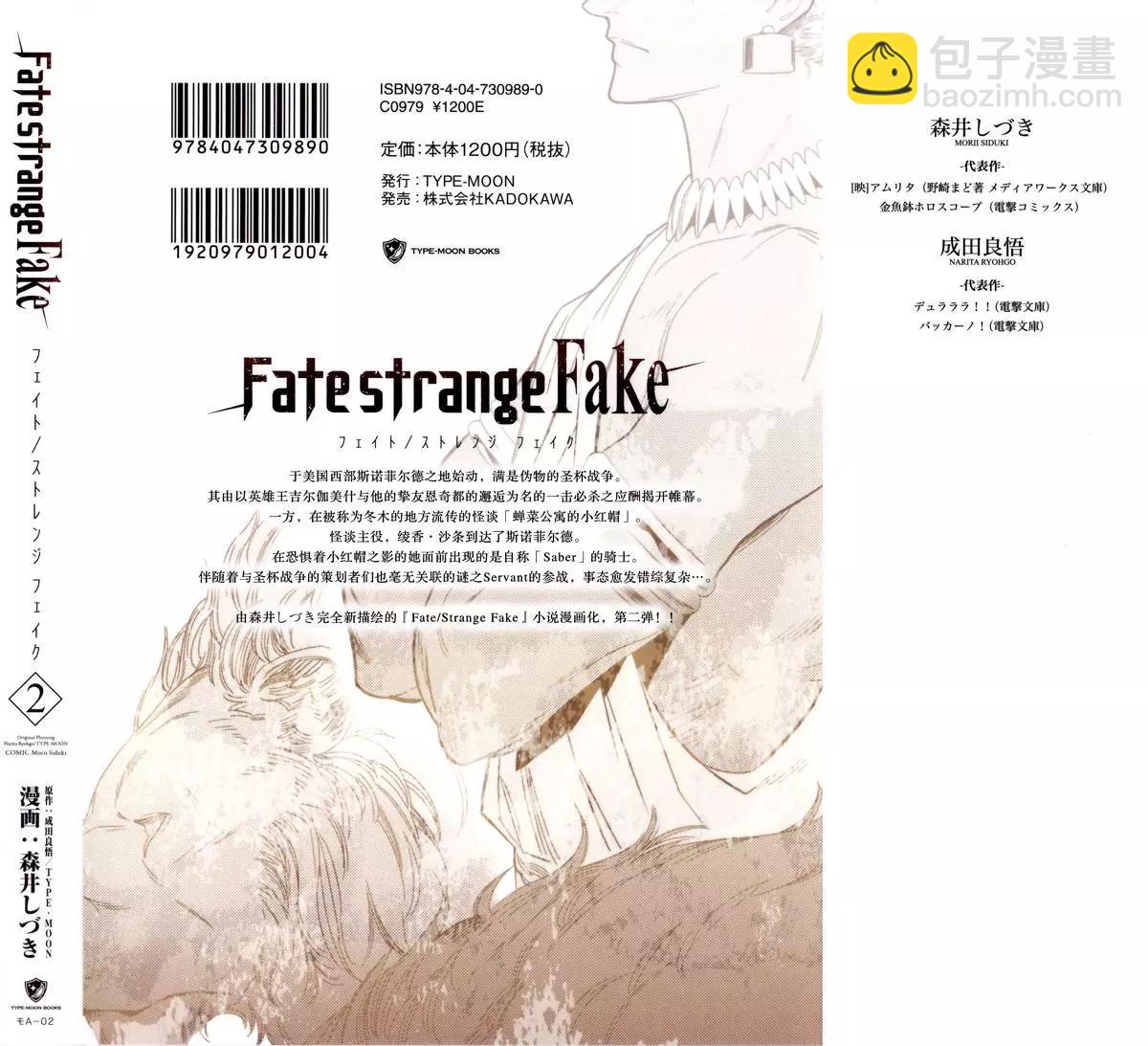 《Fate/strange fake》第02卷 第3页