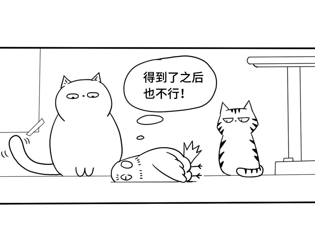 《三文与小白》第六话 第10页