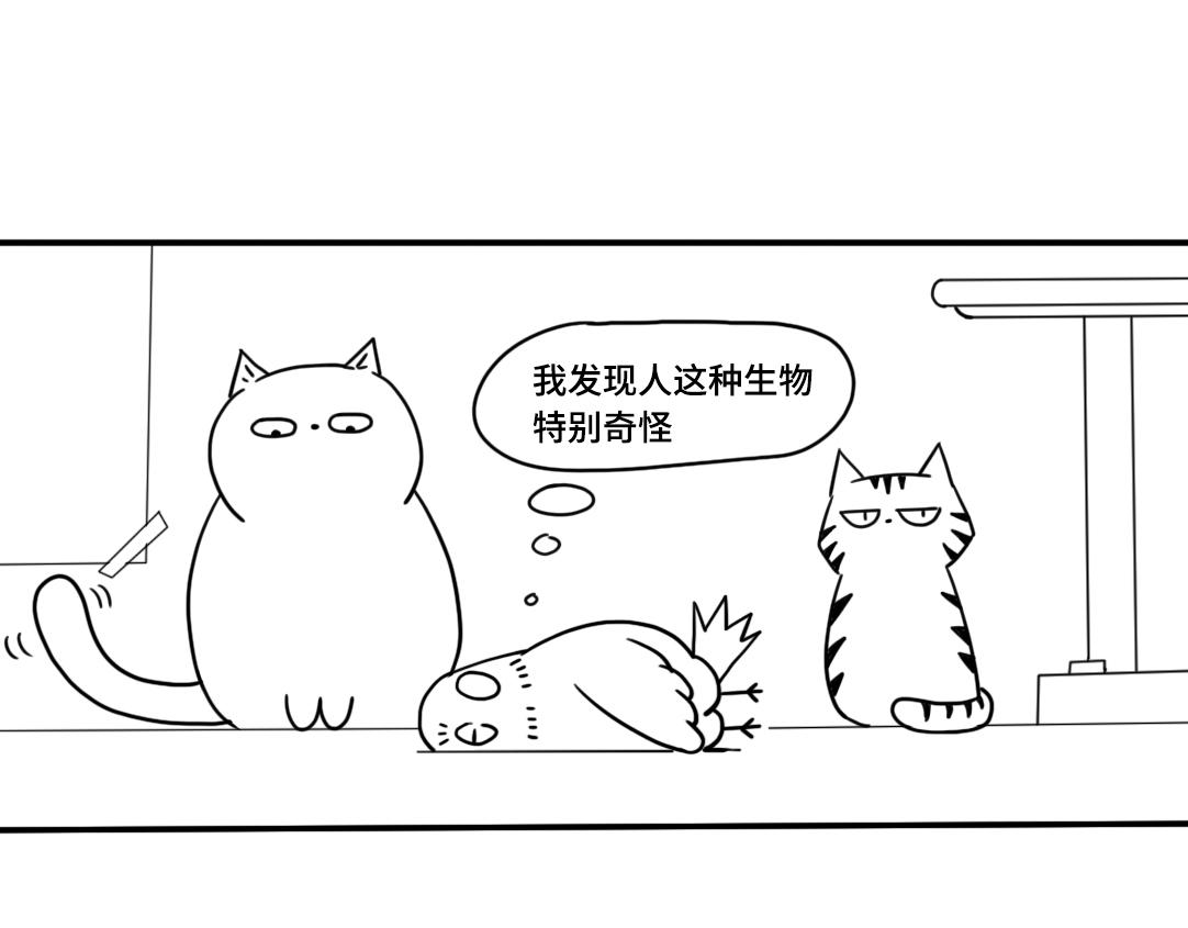 《三文与小白》第六话 第8页