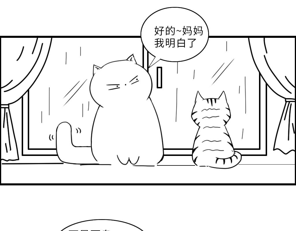 《三文与小白》第八话 第11页