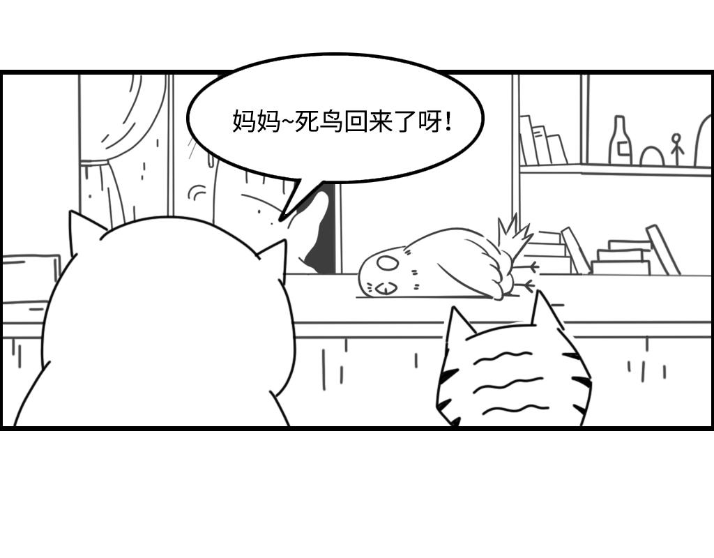 《三文与小白》第十一话 第12页