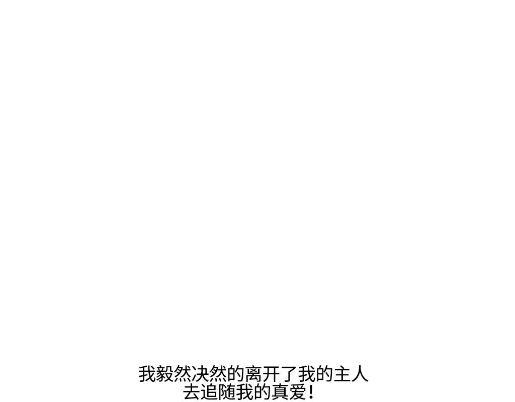 《三文与小白》第十话 第13页
