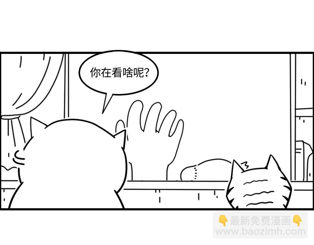 《三文与小白》第十二话 第16页