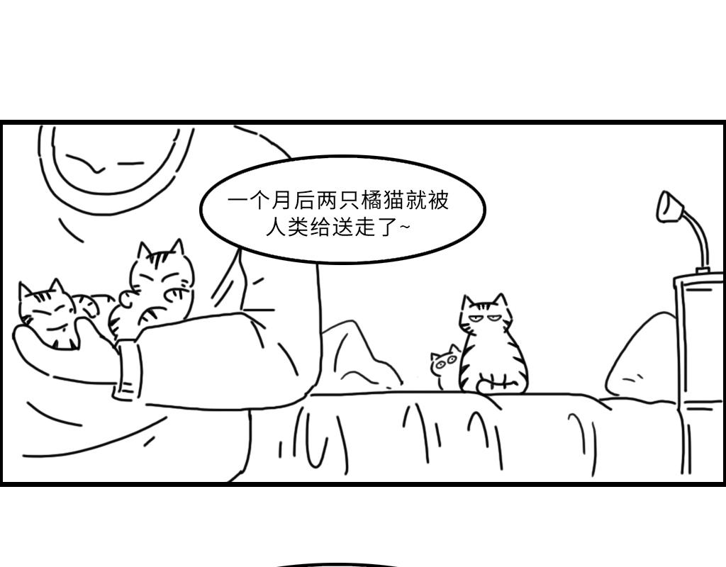 《三文与小白》第十七话 第9页