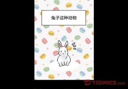 《甜心骑士》第27话 第2页