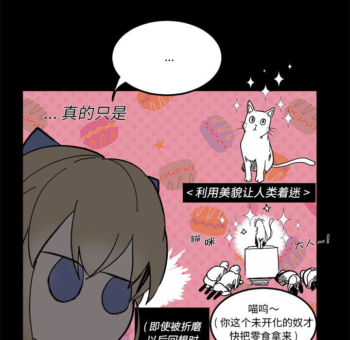 《甜心骑士》第 59 话 第46页