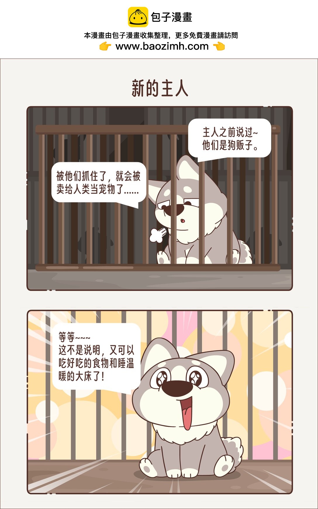 《小熊猫与哈士奇》新的主人 只想被投喂 第2页