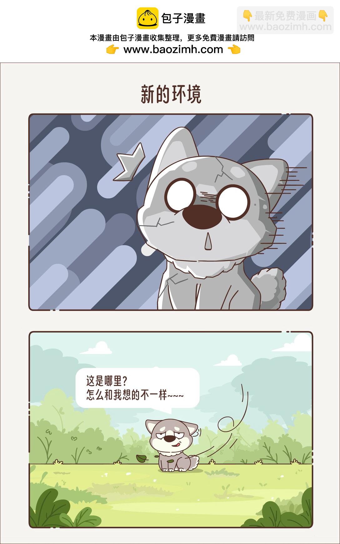 《小熊猫与哈士奇》第三回 新的环境 第2页