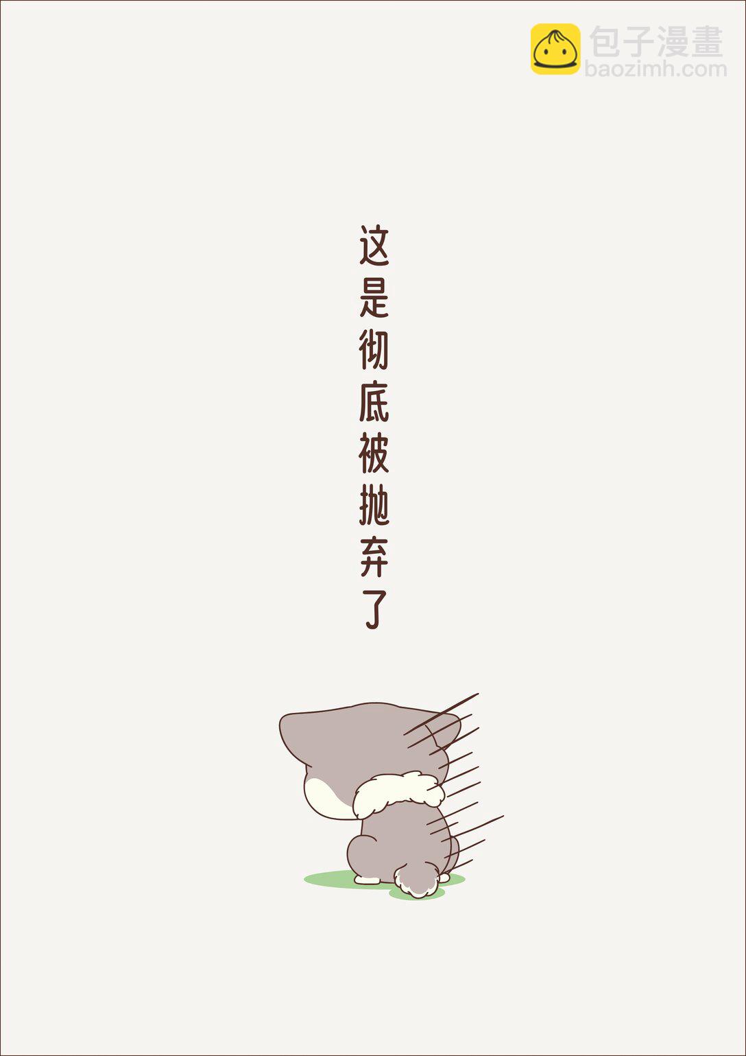 《小熊猫与哈士奇》第三回 新的环境 第3页