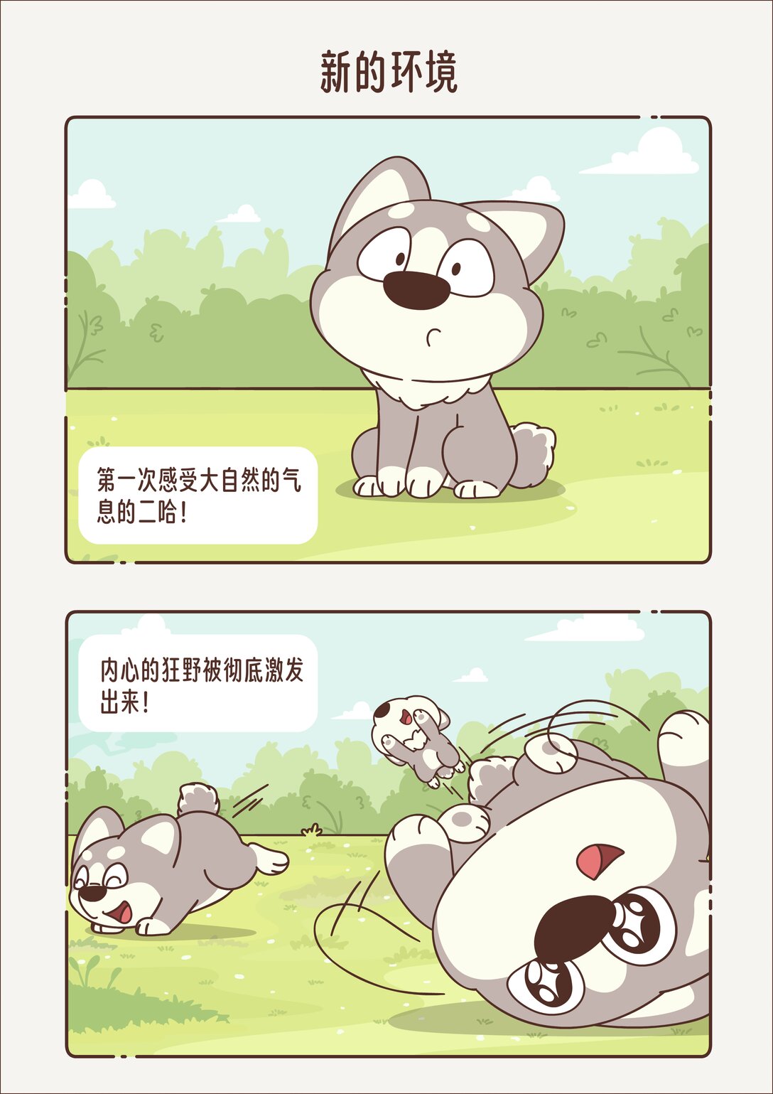 《小熊猫与哈士奇》第三回 新的环境 第4页