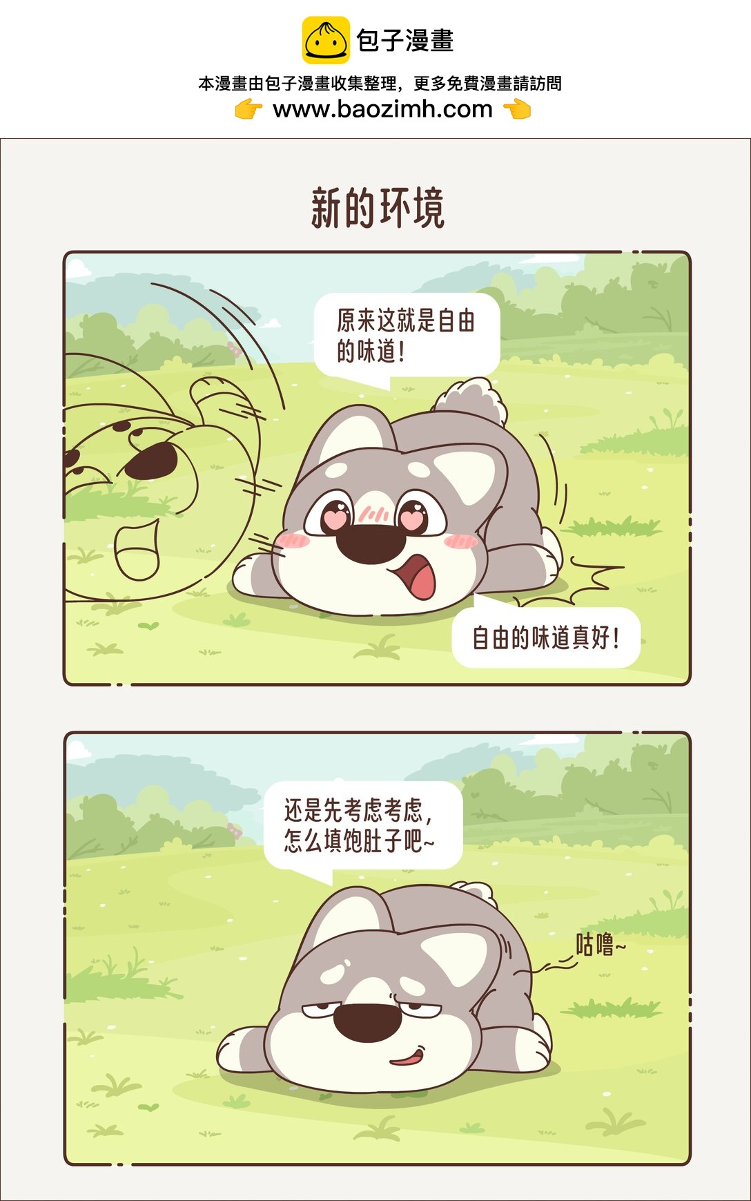 《小熊猫与哈士奇》第三回 新的环境 第5页