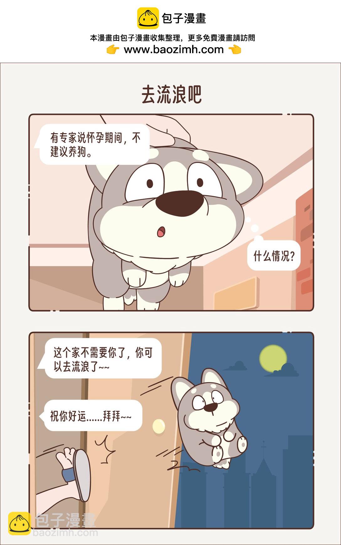 《小熊猫与哈士奇》去流浪吧 被抛弃的二哈 第2页