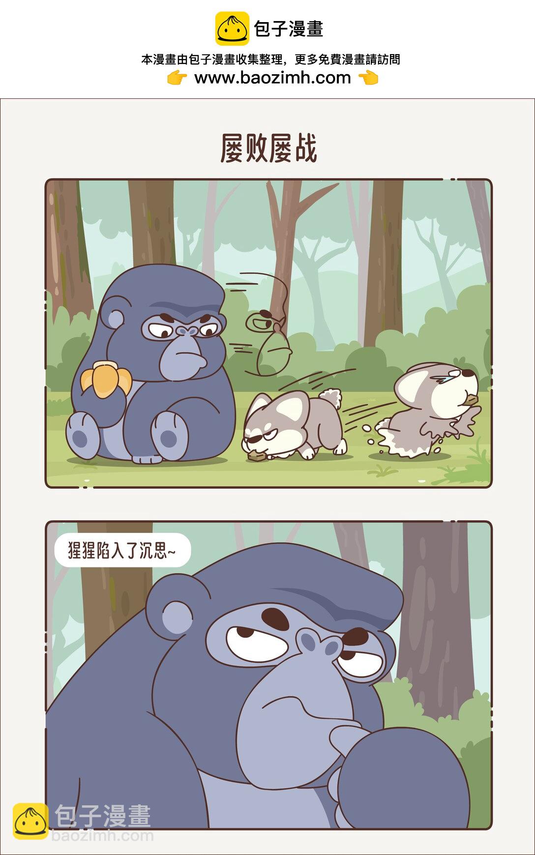 《小熊猫与哈士奇》第八章 屡战屡败 第2页