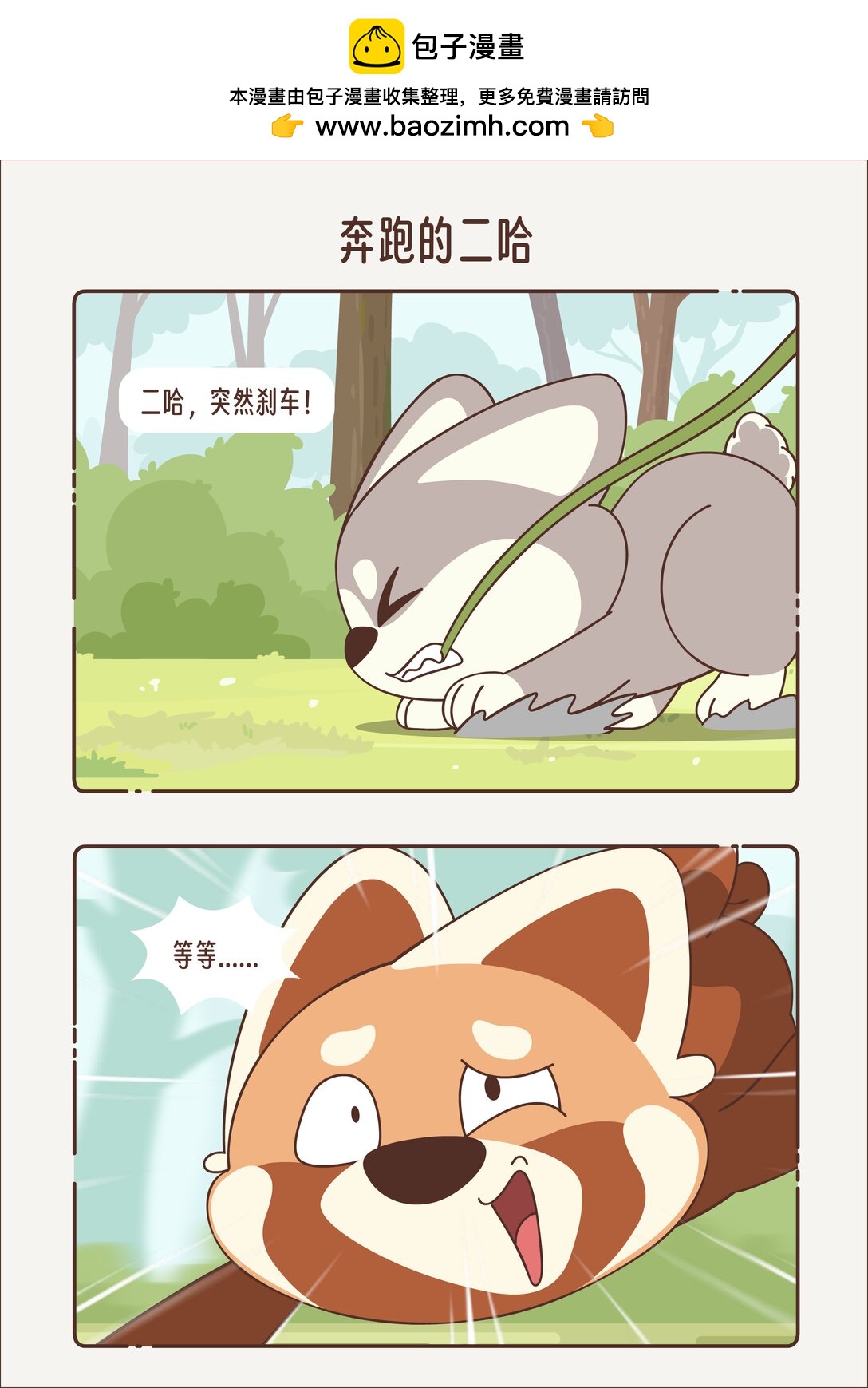 《小熊猫与哈士奇》第十二回 奔跑的二哈 第5页