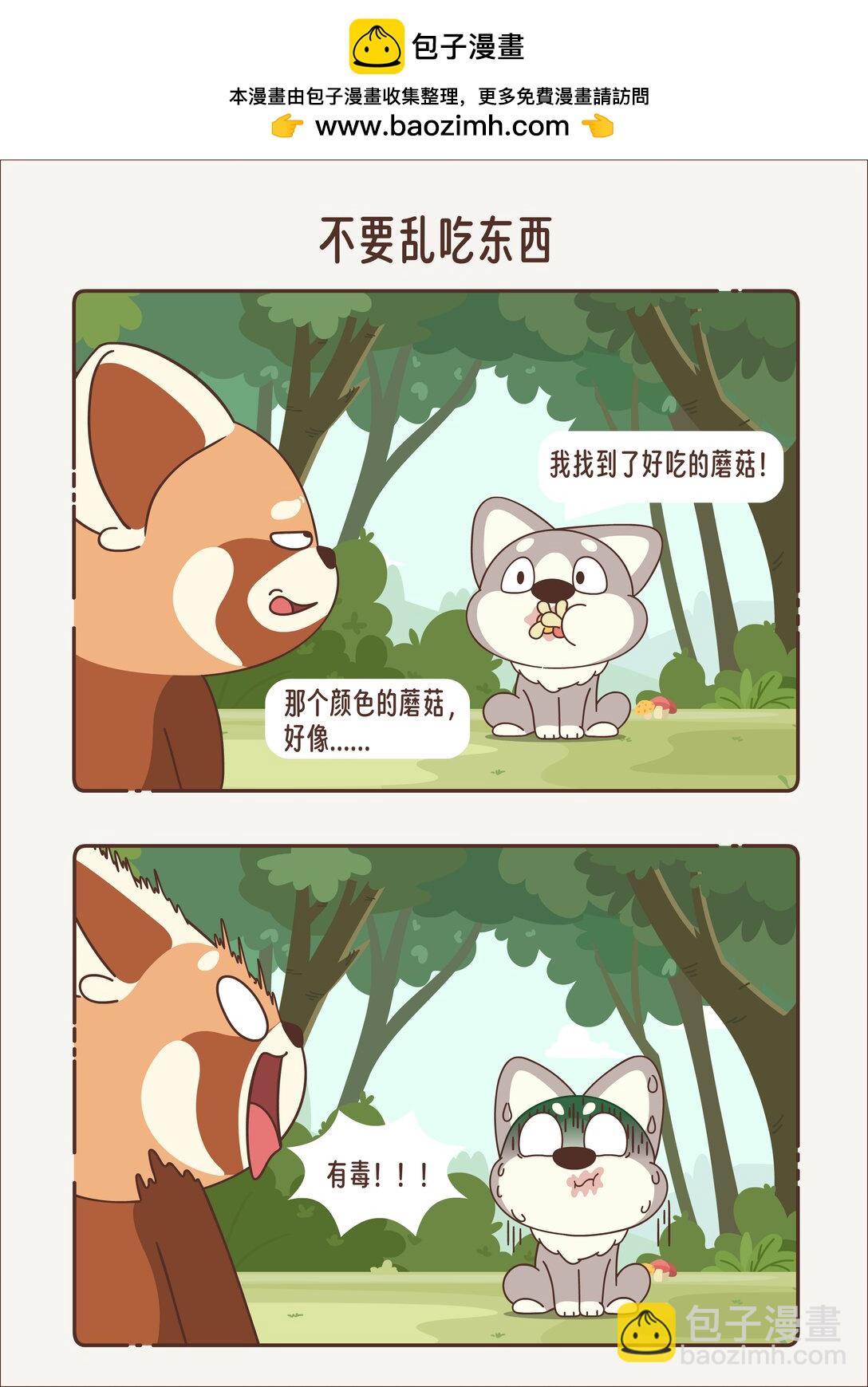 《小熊猫与哈士奇》第十三回 不能乱吃东西 第2页