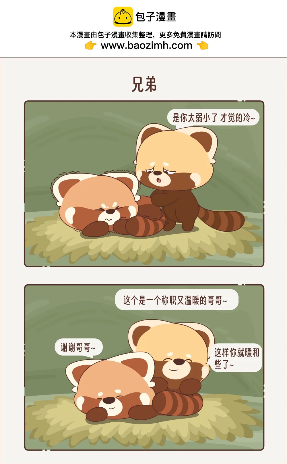 《小熊猫与哈士奇》第十八回 兄弟 第2页